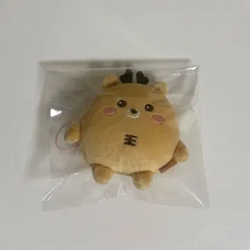 RIIZE 성찬 미니 인형 키링