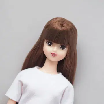 리카 캐슬 2021년 고베 산노미야 BASIC 모델 스
