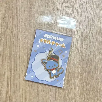 JOCHUM 레인 메탈 참