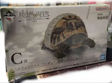 파충류 제일복권 C상