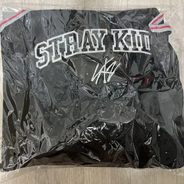 Stray Kids 스키즈 업그레 굿즈 dominATE JAPAN