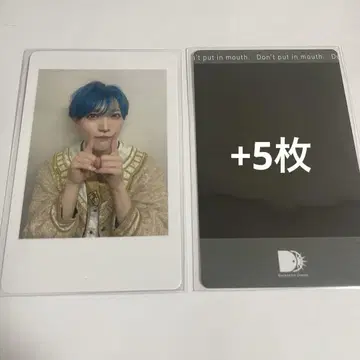 팬더드래곤 타이거 하피카 12