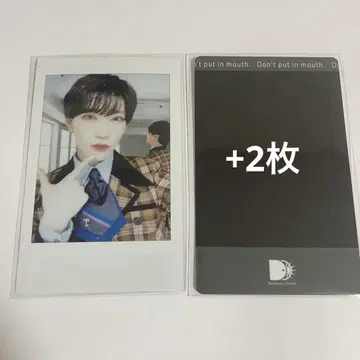 팬더 드래곤 타이거 폴라로이드 4