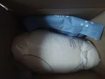 KALDI 온라인 한정판 프리미엄 고양이 백