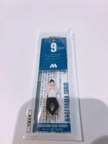 모스버거 하이큐 썸머 럭키 백 대기표풍 참 카게야마 토비오