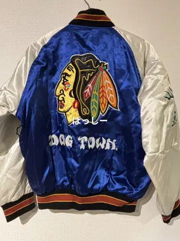 DOGTOWN 도그타운 스카잔 자수 인디언