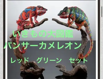 생물대도감 프리미엄 팬서 카멜레온 암빌로브 그린 레드
