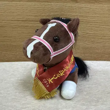 레시스텐시아 아이돌 호스 한신 쥬베나일 필리즈 우승 레이
