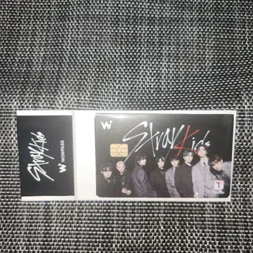 스키즈 wowpass straykids
