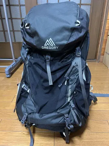 Gregory paragon 48 그레고리 파라곤