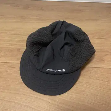 Patagonia 블랙캡 플리스