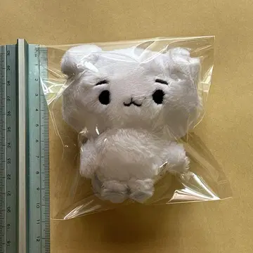 봉제 인형 ENHYPEN 성훈 마스터