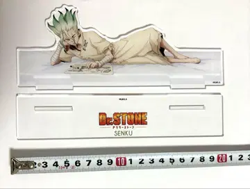 Dr.STONE 이시가미 센쿠 껴안고 자는 BIG 아크릴 스탠드