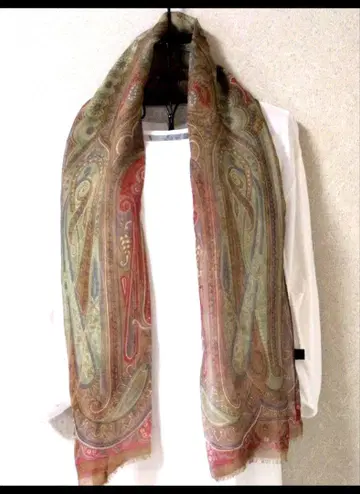 ETRO 페이즐리 무늬 실크 스톨