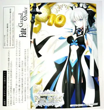 FGO 페스 2025 영령소환 사진 영령 사진 모르간
