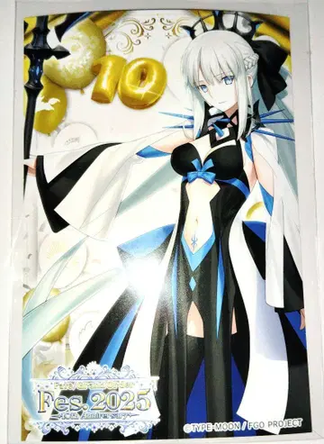 FGO 페스 2025 영령소환 사진 영령 사진 모르간