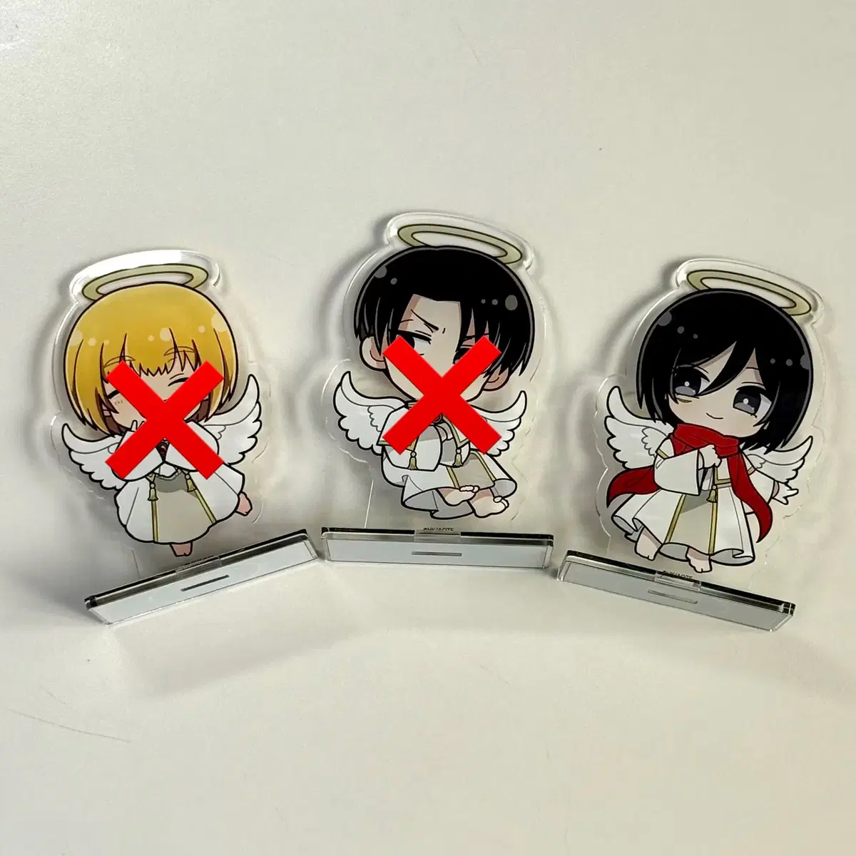 24-25 The Origin of Species Stage mu Musical DVD wts #종의기원,#종