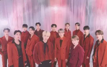 SEVENTEEN POWER OF LOVE 단체 트레이딩 카드 0075