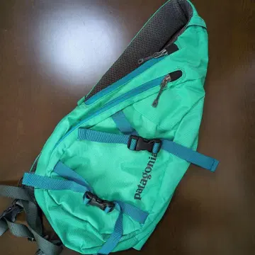 patagonia 바디백 아톰