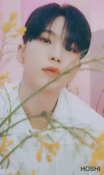 SEVENTEEN HMV HOSHI ALWAYS YOURS