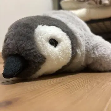 가이유칸의 귀여운 펭귄