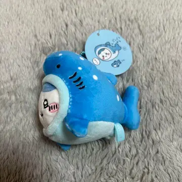 수족관 고래상어 하치와레 마스코트