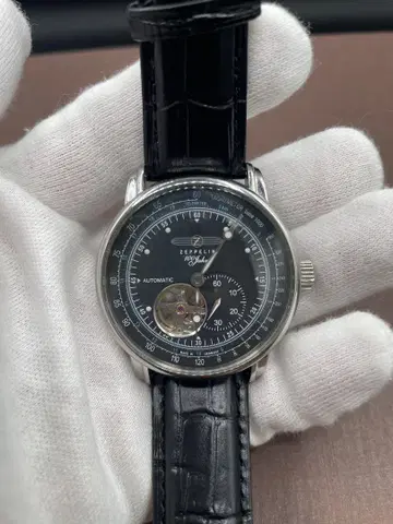 체펠린 100주년