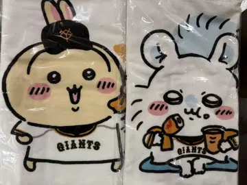 치이카와 자이언츠