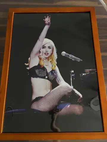 레이디 가가 LADY GAGA 포스터 2종