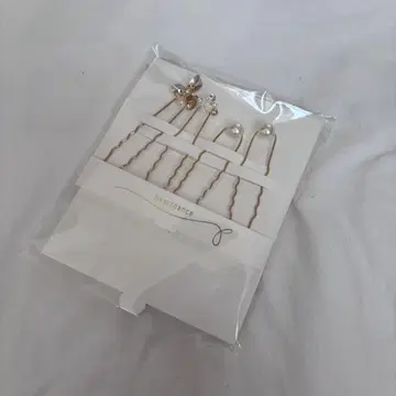 헤어핀 5개 세트와 클러치백