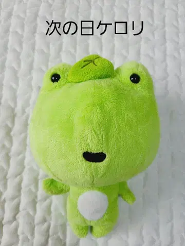 하자품 다음날 케로리 봉제 인형 헤이세이 레트로 개구리
