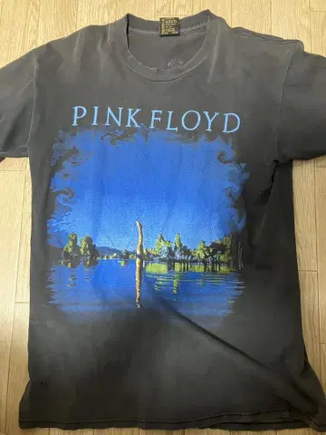 PINK FLOYD 티셔츠 L 사이즈
