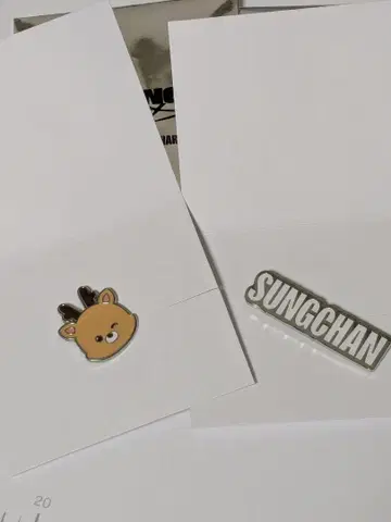 riize riizing loud 커스텀 참 성찬