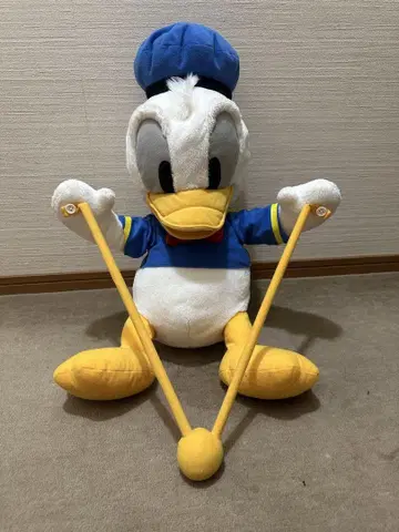 도날드 대