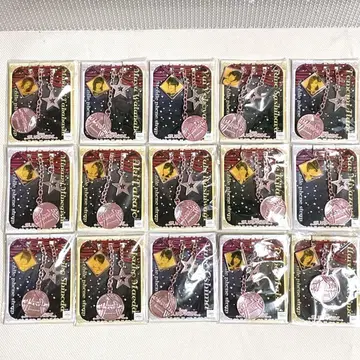 AKB48 팀 서프라이즈 핸드폰 스트랩 15개 중복 없음