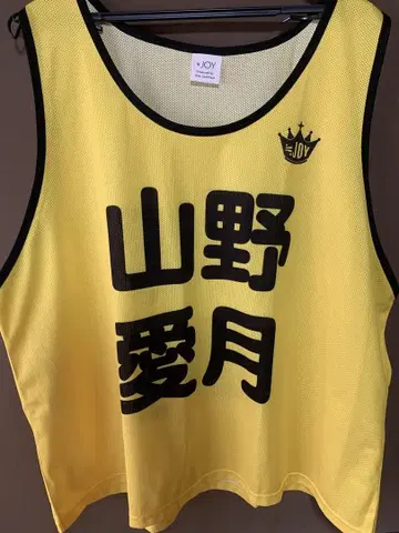 야마노 아이즈키 빕스