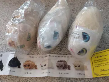 낯을 가리는 고양이 봉제 인형 3개 세트