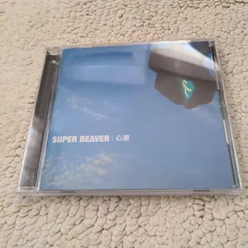SUPER BEAVER 심경