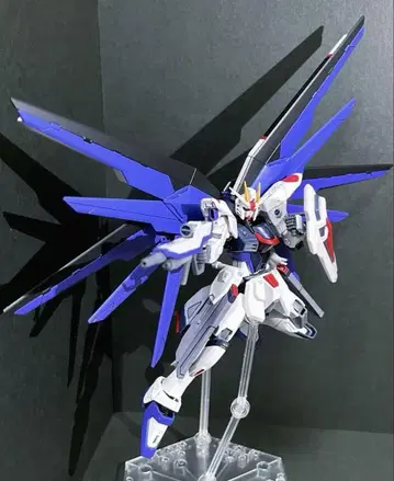 정크 HG 1/144 프리덤 건담
