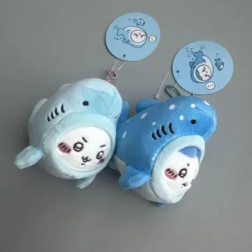 치이카와 수족관 징베 상어 하치와레 상어 치이카와 마스코트 2개