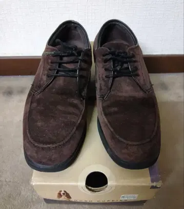 허시파피 브라운 신발
