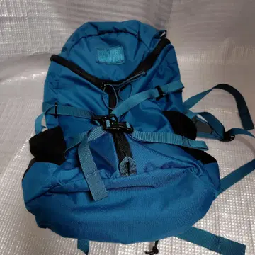 MYSTERY RANCH Gallagator Daypack 19L