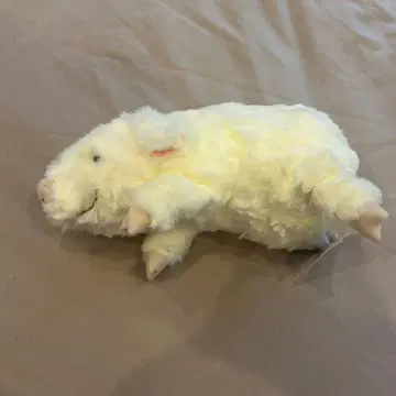 모슈이유 돼지  셰르 S 봉제 인형