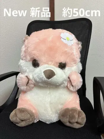 AMUFUN 두근두근 아기 해달 두근두근 프렌즈 봉제 인형 라이치 짱