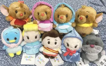신데렐라 울어  컴플리트 세트