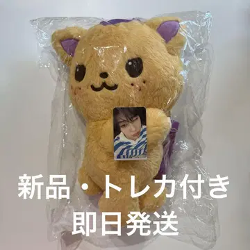시오닌 백 백 봉제 인형 시온 NCT WISH 트레이딩 카드
