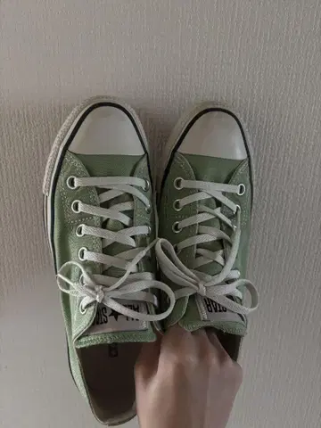 Converse 올스타 그린 피스타치오 로우컷 스니커즈