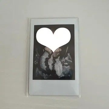 러브식 하야테 폴라로이드
