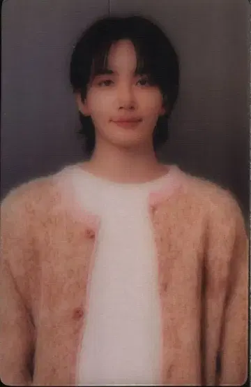 SEVENTEEN JEONGHAN 2024 CARAT LAND