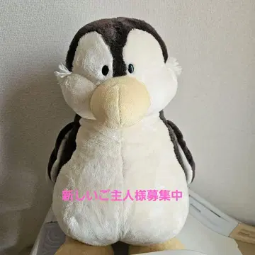 nici 펭귄 봉제 인형